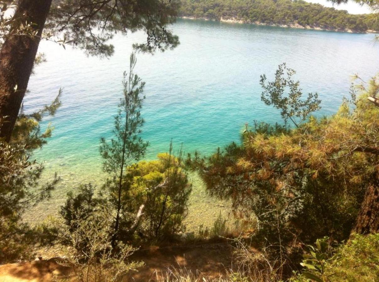 King Residence Old Town Rab - Adults Only Ραμπ Εξωτερικό φωτογραφία